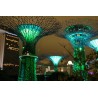 Asie - Singapur - města - svět - Gardens by the Bay - hudba - noc - show - světla