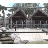 USA - Florida - nature - safari - crocodile - alligator - farm - training - slow motion