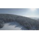 CZ - mountains - winter - snow - ice - tree - dron