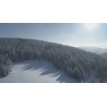 CZ - mountains - winter - snow - ice - tree - dron